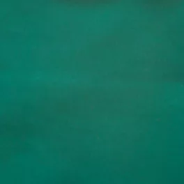 Plátno Simonis 760 Dark Green 195 cm