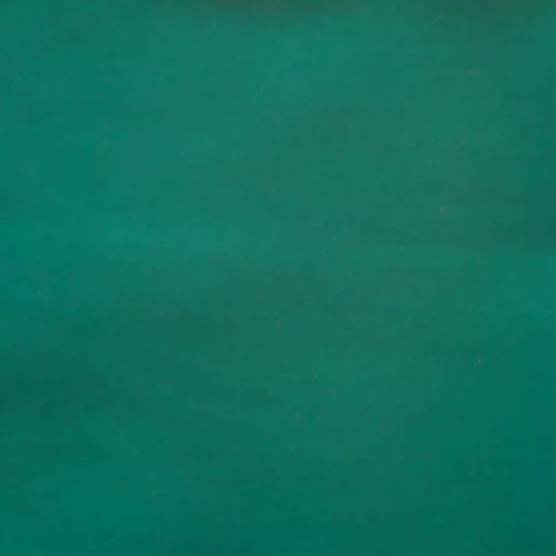 Plátno Simonis 760 Dark Green 195 cm