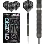 Šipky steel Winmau Callisto 01 24g, 90% wolfram