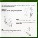 Sada kopaček na stolní fotbal Norditalia Tempo Soccer Shoes