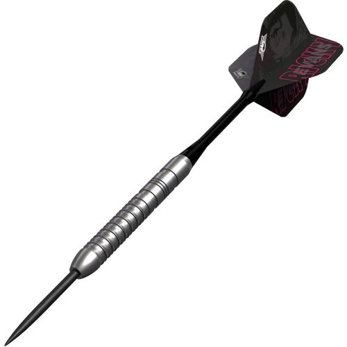 Šipky steel Bulls Ricky Evans E2 23g, 80% wolfram