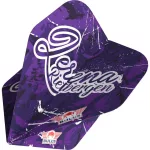 Šipky steel Bull's Lerena Rietbergen 24g 90% wolfram