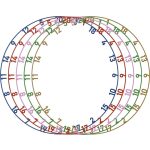 Číselník Bull's na sisalové terče matné barvy - 5ks