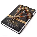 Šipky steel Cuesoul Dragon 22g, 90% wolfram