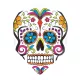Letky na šipky Harrows Quadro Calavera