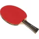 Pálka na stolní tenis Buffalo Talent