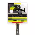 Pálka na stolní tenis Buffalo Talent