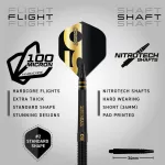 Šipky steel Red Dragon 50 Years Player Edition Peter Wright 21g 90% wolfram