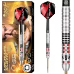Šipky steel Shot Michael Smith Achieve 25g, 90% wolfram