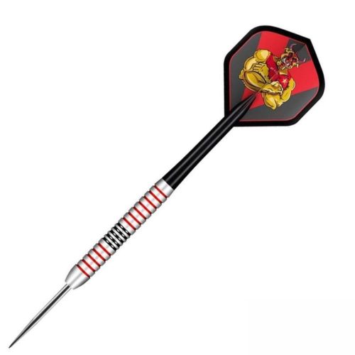 Šipky steel Shot Michael Smith 24g, Brass