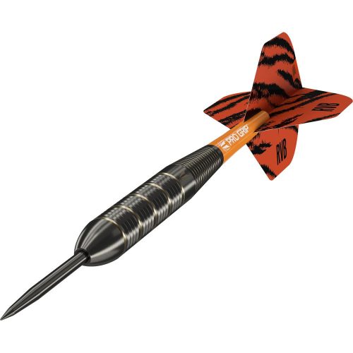 Sada šipek TARGET steel Raymond van Barneveld 22g, brass