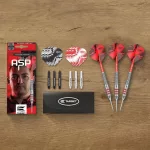 Šipky steel Target Nathan Aspinall 22g, brass