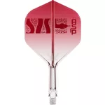 Šipky steel Target Nathan Aspinall 95K 22g SP 95% wolfram