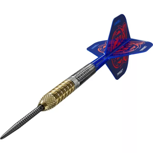 Šipky steel Target Raymond Van Barneveld G6 21g SP 95% wolfram