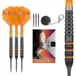 Šipky steel Target Raymond van Barneveld 95K 21g SP 95% wolfram