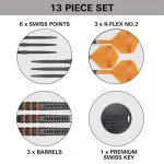 Šipky steel Target Raymond van Barneveld 95K 21g SP 95% wolfram
