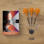 Šipky steel Target Raymond van Barneveld 95K 25g SP 95% wolfram