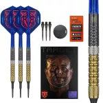 Šipky soft Target Raymond Van Barneveld G6 20g 95% wolfram