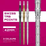 Hroty na šipky TARGET Swiss Point TRB stříbrné 42mm