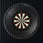 Sisalový terč Winmau BLADE 360, turnajová kvalita